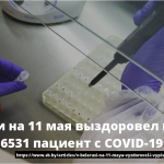 В Беларуси на 11 мая выздоровел и выписан 6531 пациент с COVID-19 15