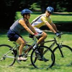 Как выбрать велосипед взрослому человеку: что нужно знать 11