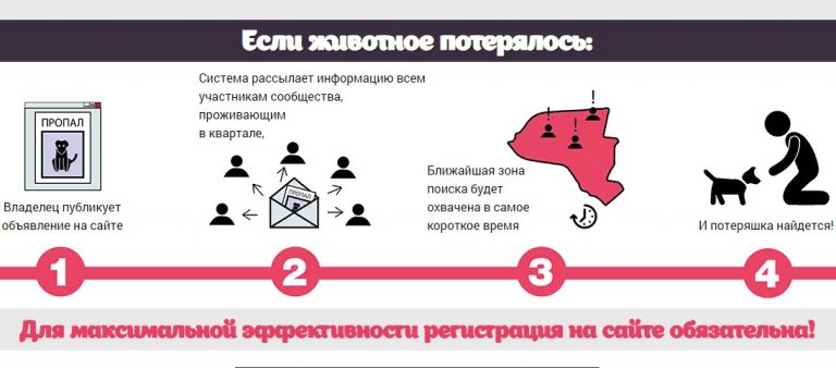 Поиск животных