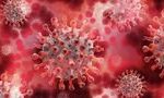 Больные коронавирусом стали умирать вдвое быстрее 14