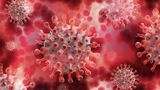 Больные коронавирусом стали умирать вдвое быстрее 1