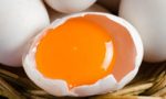 Названы виды яиц, которые хуже яда 14