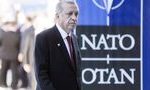В Конгрессе США предложили исключить Турцию из НАТО 12