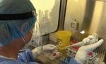 В Румынии растет число пациентов с COVID-19 в тяжелом состоянии 14