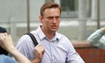 Врач назвал дозу алкоголя в анализах Навального при его госпитализации 13