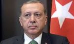 Эрдоган предложил применить карабахский сценарий урегулирования в Сирии 14
