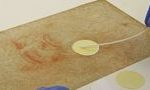 Ученые провели исследование ДНК бактерий, найденных на рисунках Леонардо да Винчи 11