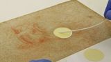 Ученые провели исследование ДНК бактерий, найденных на рисунках Леонардо да Винчи 1