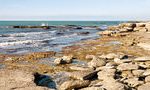 Ученые: Каспийское море может уменьшиться на треть 12