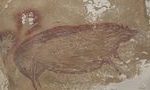 В Индонезии нашли самый древний в мире наскальный рисунок 14