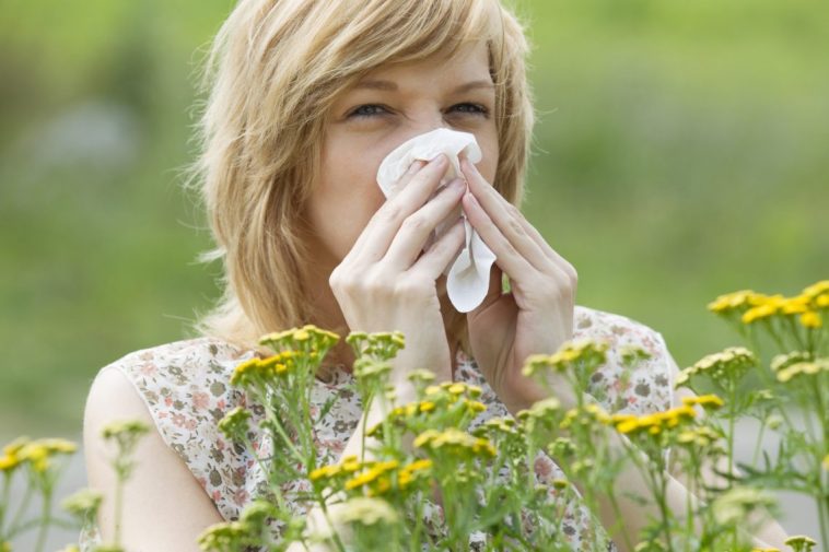 8 вопросов врачу об аллергии на пыльцу и укусы насекомых 1