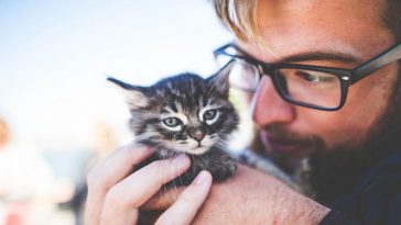 Каких людей кошки помнят всю жизнь: выводы специалистов поразят многих 5