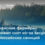 Американские фермеры уничтожают скот из-за засухи и антироссийских санкций 14