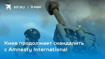 Киев продолжает скандалить с Amnesty International 13