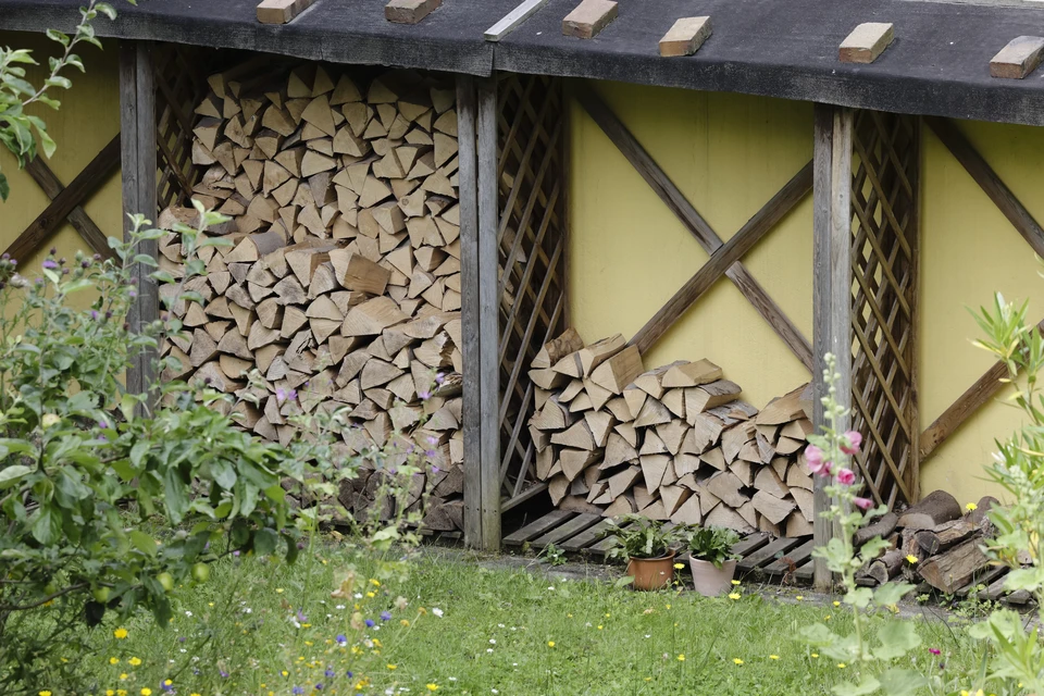 Колотые дрова — источник естественного тепла и экологической чистоты 1