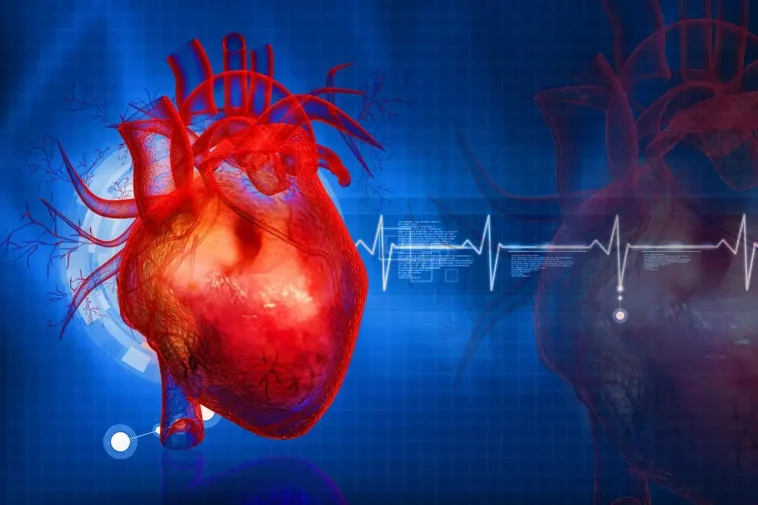 Что можно и нельзя делать при больном сердце. 5 вопросов к кардиологу 1