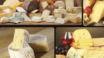 Вкусные сыры: история, виды и гастрономическое удовольствие 2