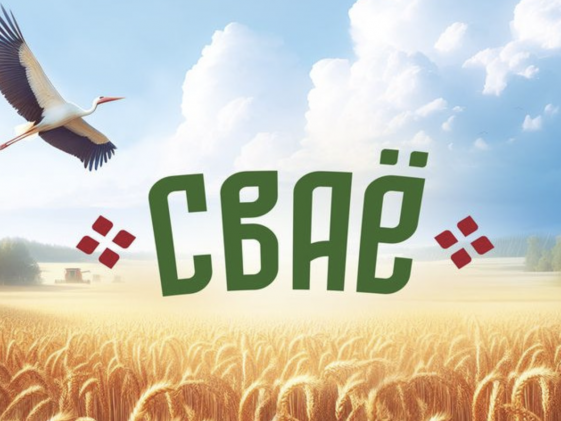 Евроторг запускает собственную торговую марку «СВАЁ»: цели, возможности и влияние на рынок 1