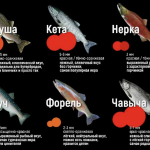 Красная икра: виды, рыбы-источники и как отличить качество 9