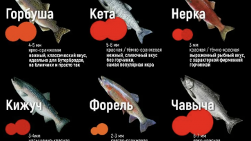 Красная икра: виды, рыбы-источники и как отличить качество 2