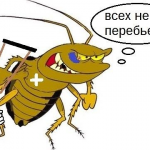 Война с тараканами: Почему народные методы проигрывают, а профессионалы побеждают 14 Война с тараканами