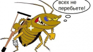 Война с тараканами