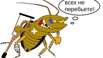Война с тараканами
